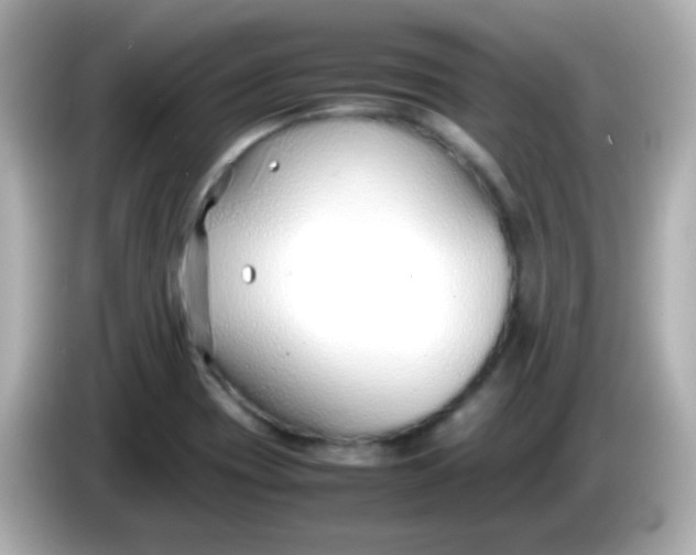 X0000086041417200704091142