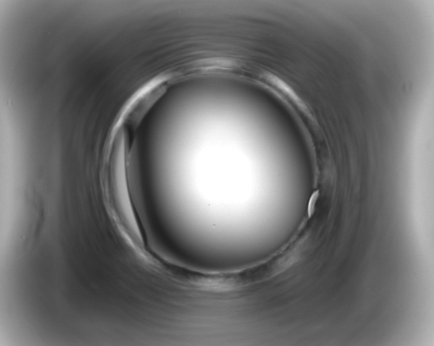 X0000086041418200704091142