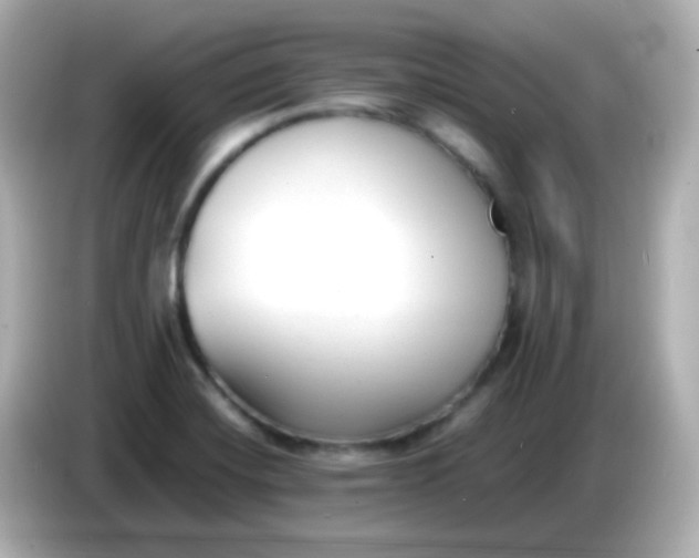 X0000086041420200704091142