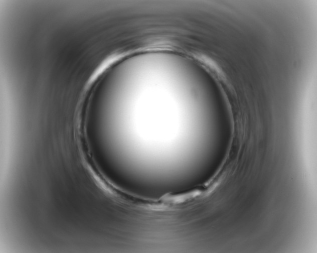 X0000086041422200704091142