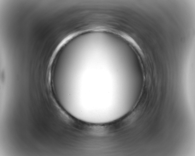 X0000086041424200704091142