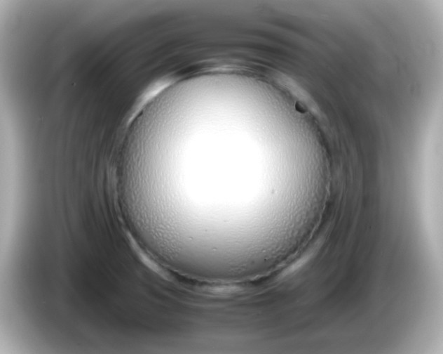 X0000086041425200704091142
