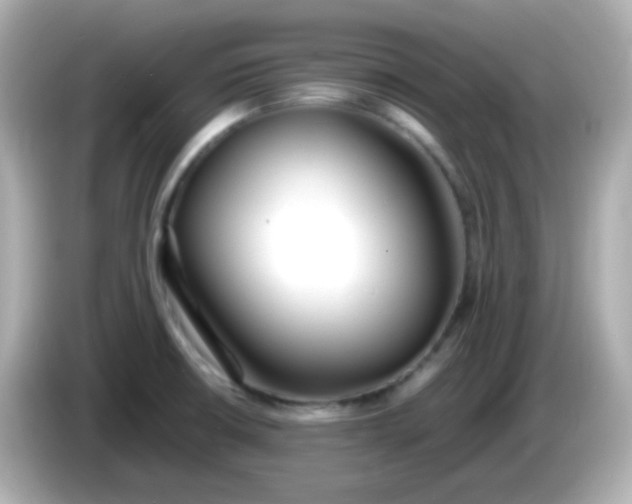 X0000086041426200704091142