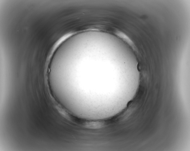 X0000086041427200704091142