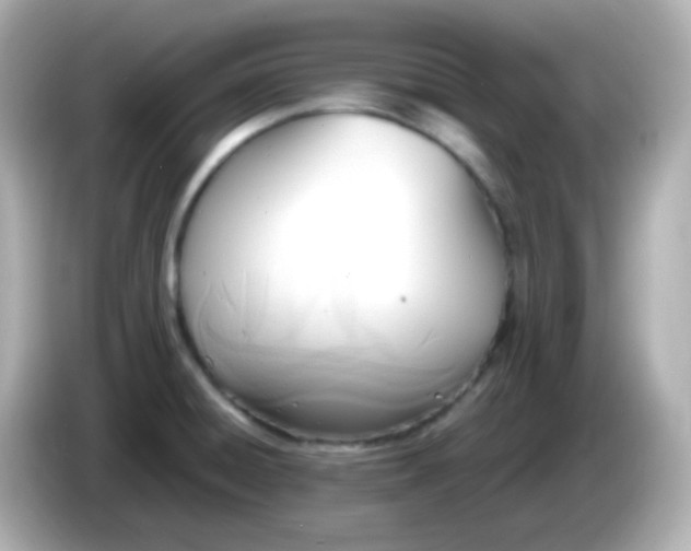 X0000086041428200704091142