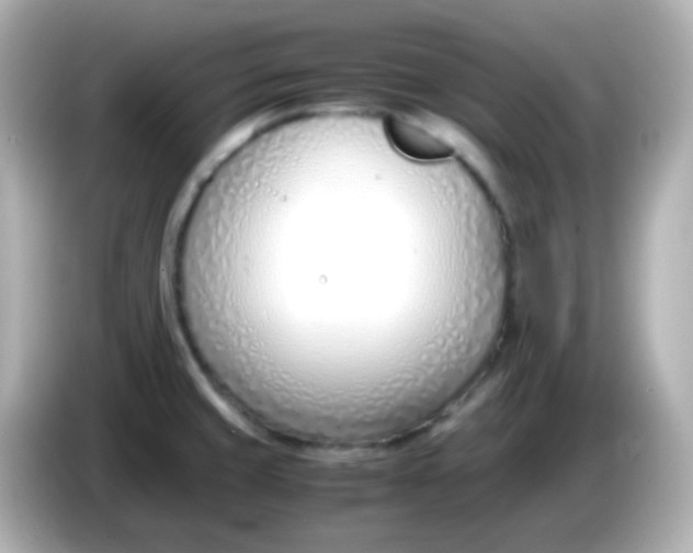 X0000086041429200704091142