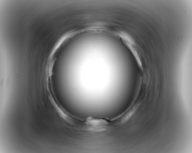 X0000086041430200704091142