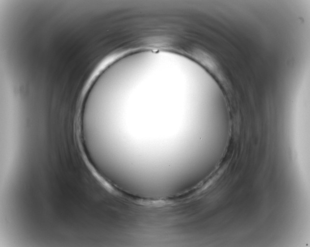 X0000086041432200704091142