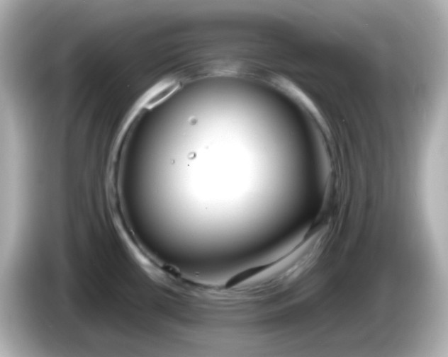 X0000086041434200704091142