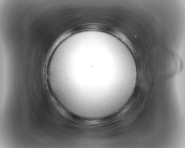 X0000086041435200704091142