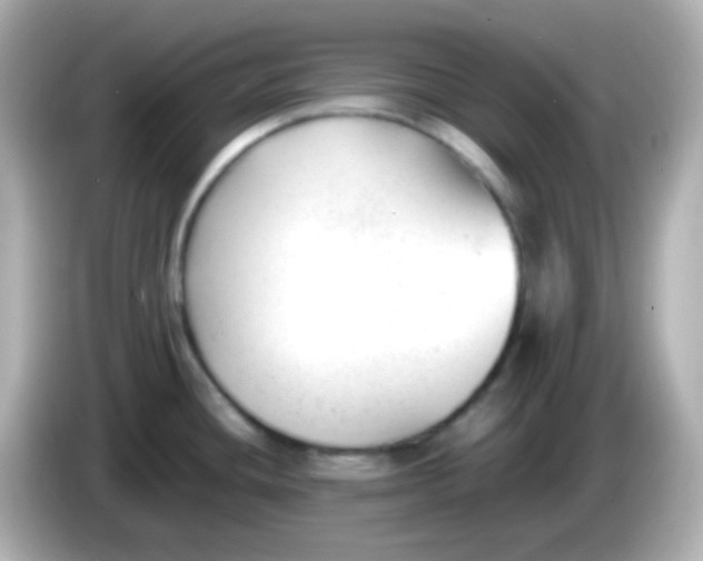 X0000086041436200704091142