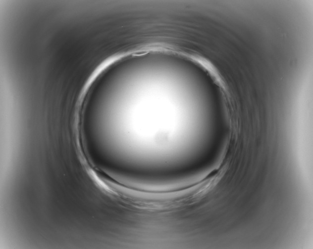X0000086041438200704091142