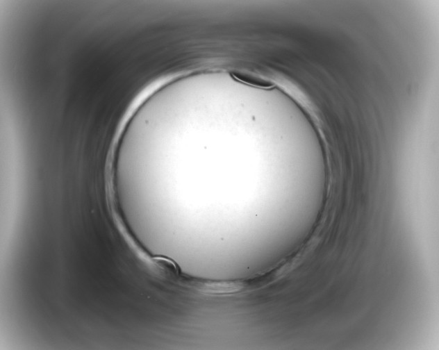 X0000086041440200704091143