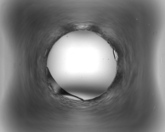 X0000086041441200704091142