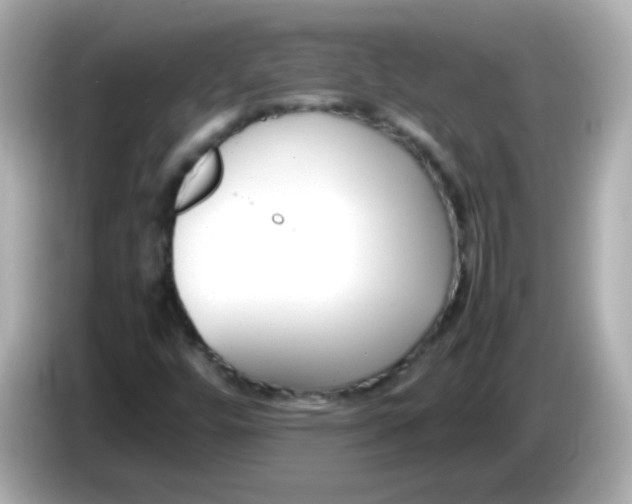 X0000086041448200704091142