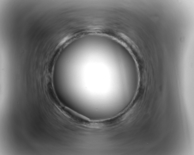 X0000086041449200704091142