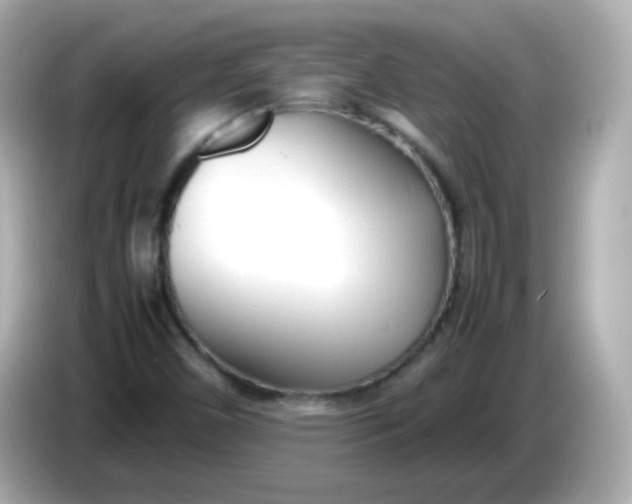 X0000086041450200704091142