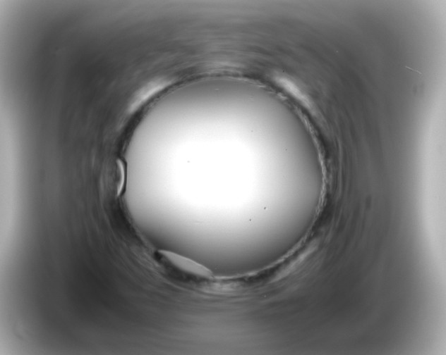 X0000086041453200704091142