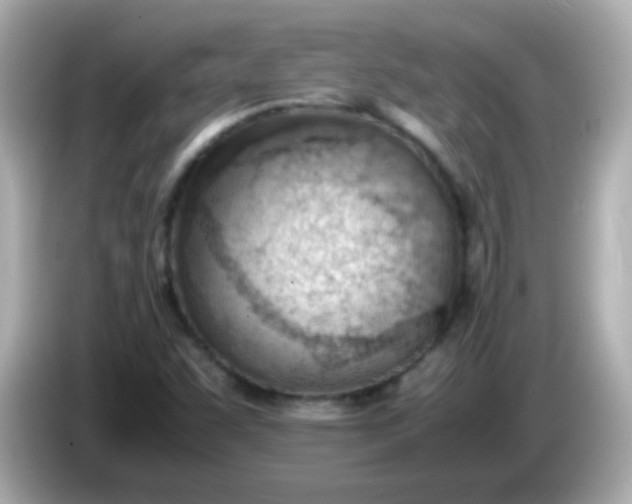 X0000086041455200704091142