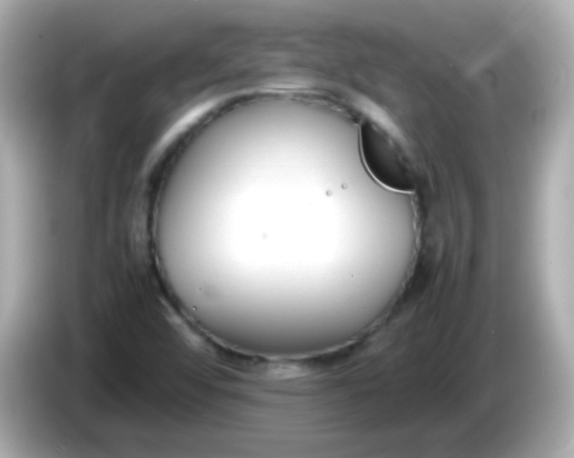 X0000086041456200704091142