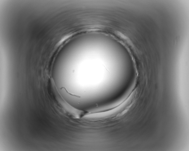 X0000086041457200704091142