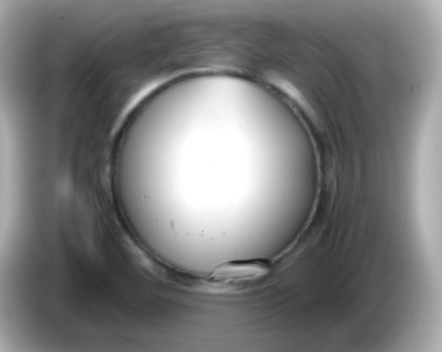 X0000086041460200704091142