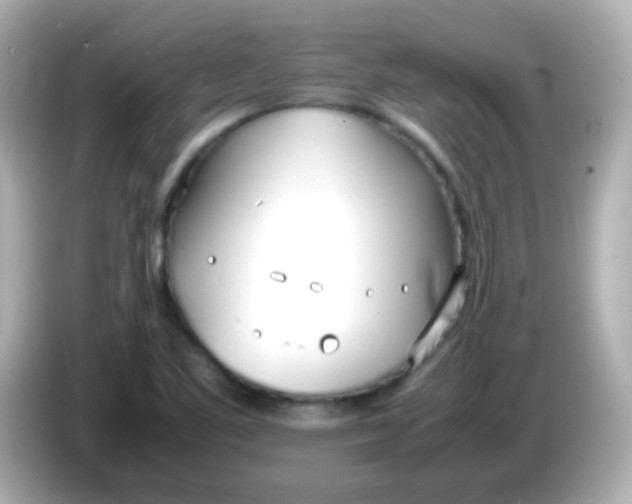 X0000086041461200704091142