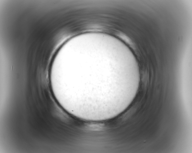 X0000086041466200704091142