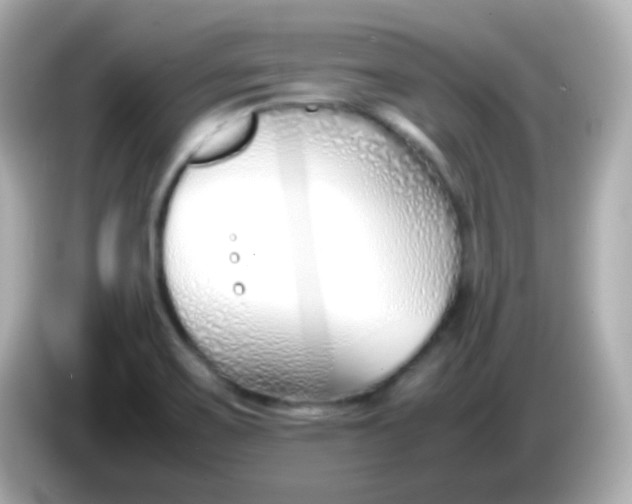 X0000086041467200704091142