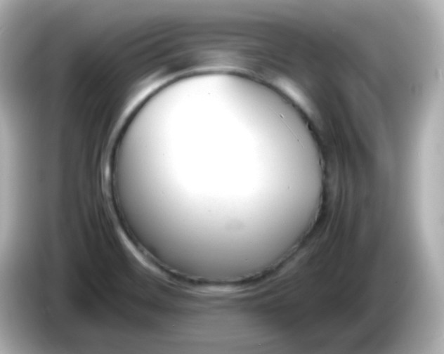 X0000086041468200704091142