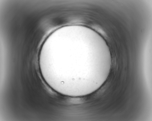 X0000086041470200704091142