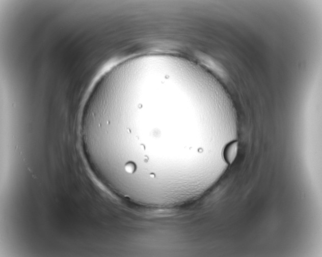 X0000086041471200704091142