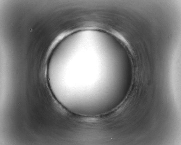 X0000086041472200704091142