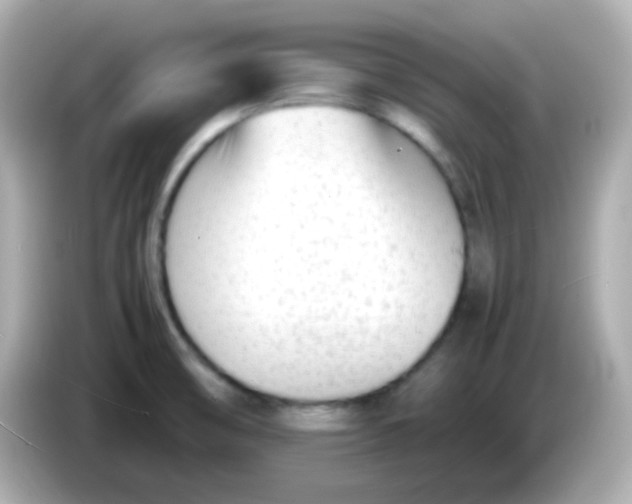 X0000086041474200704091142