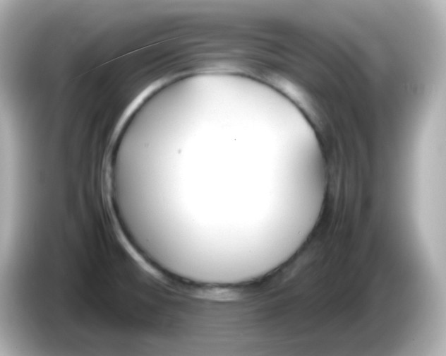 X0000086041476200704091142