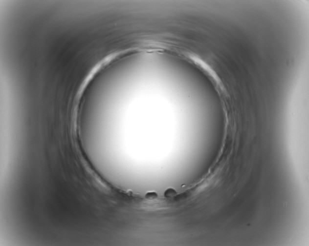 X0000086041477200704091142