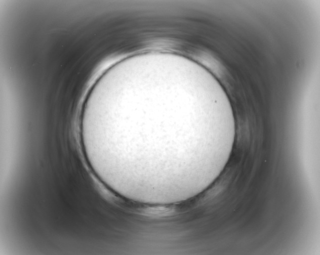 X0000086041478200704091142