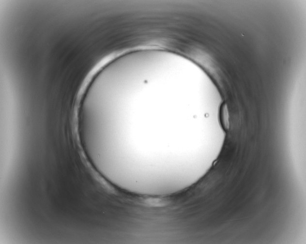 X0000086041480200704091141