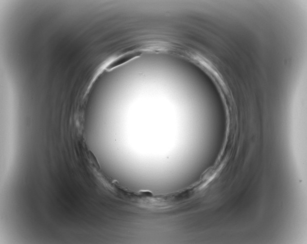 X0000086041481200704091141