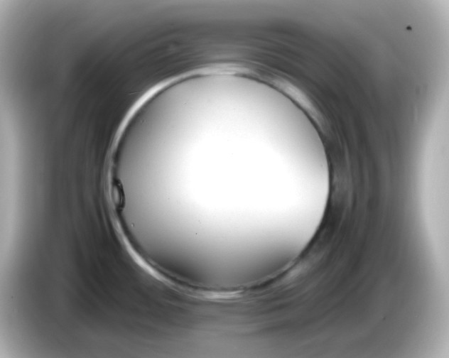 X0000086041484200704091141