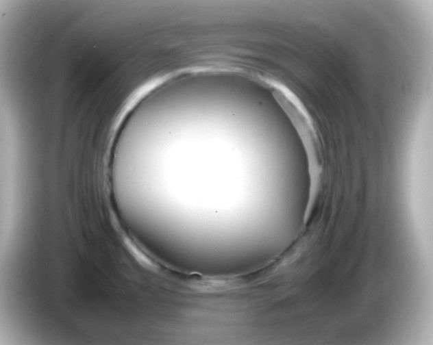 X0000086041485200704091141