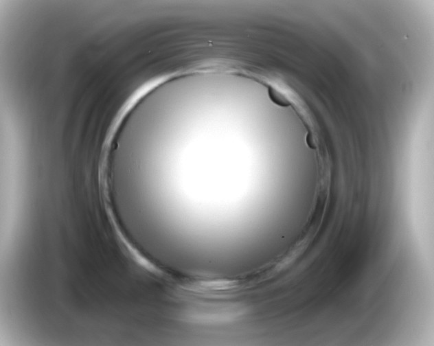 X0000086041486200704091141