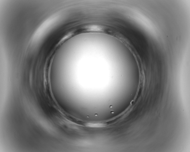 X0000086041487200704091141