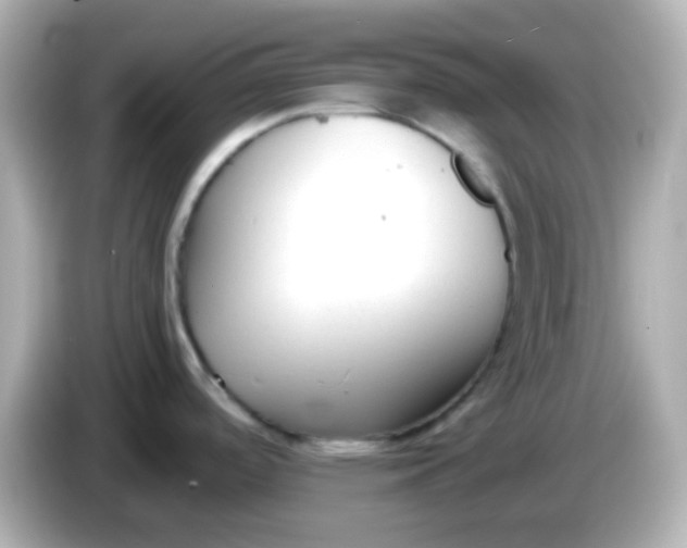 X0000086041488200704091141