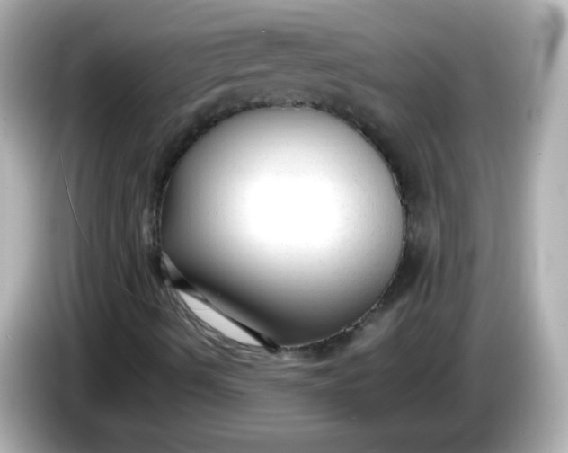 X0000086041490200704091141