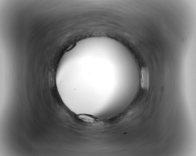 X0000086041491200704091141