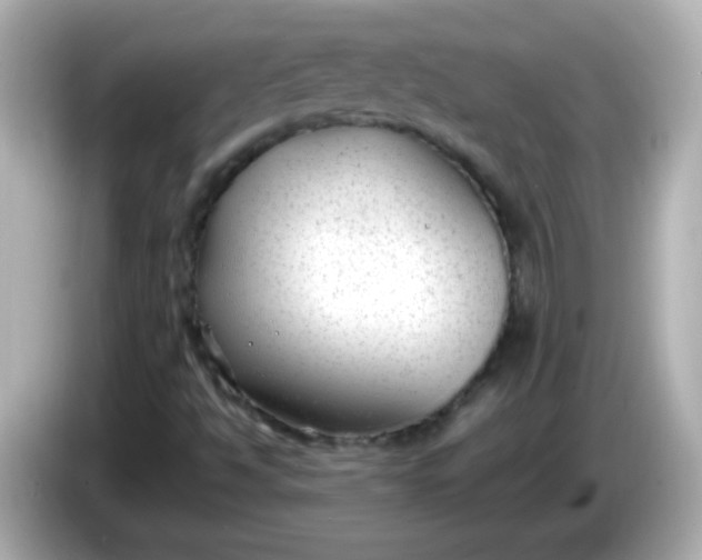 X0000086041494200704091141