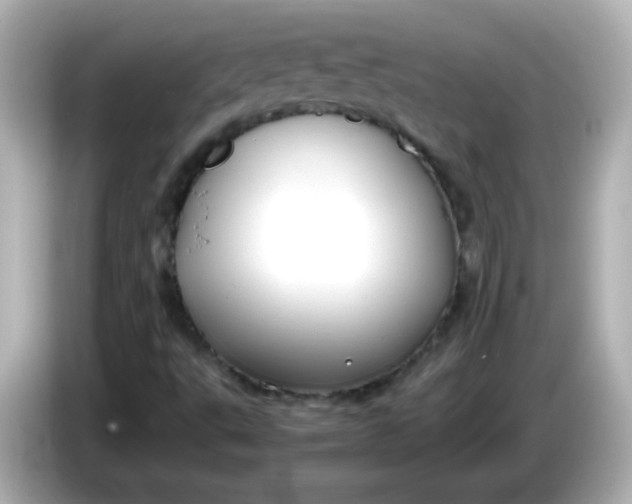 X0000086041495200704091141