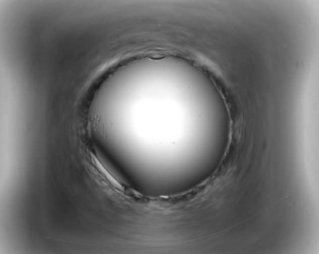 X0000086041496200704091141