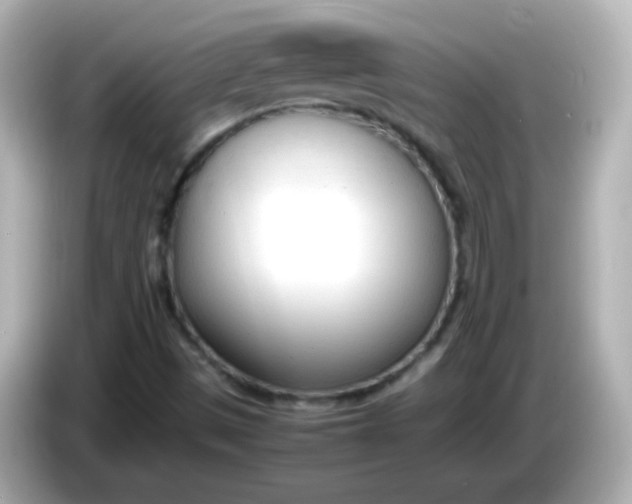 X0000086041497200704091141